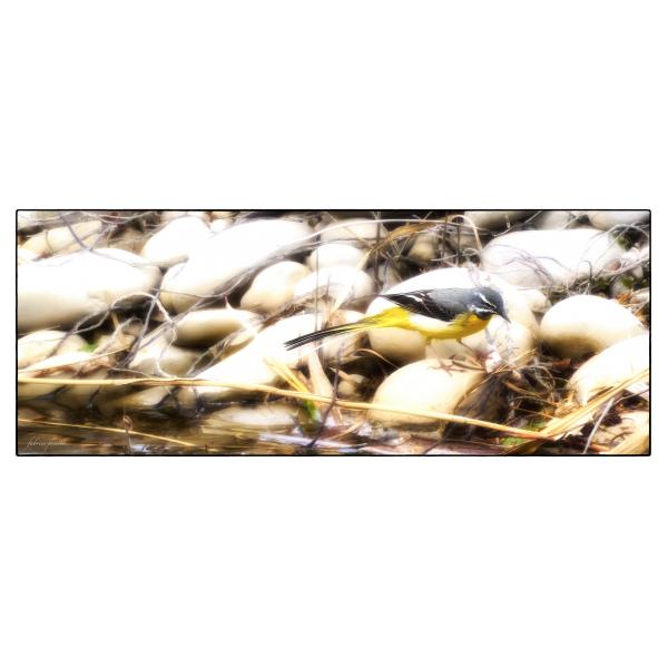 PHOTO84, CLUB, 84 , LUBERON